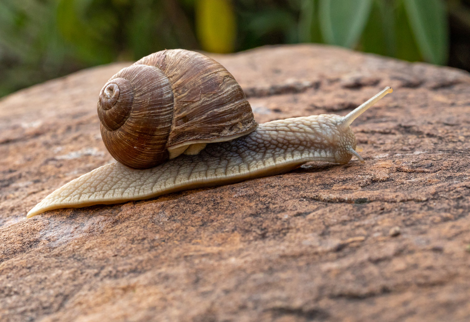 11 Reasons Why Your Ethernet Is Slower Than Your WiFi 11 Reasons Why Your Ethernet Is Slower Than Your WiFi