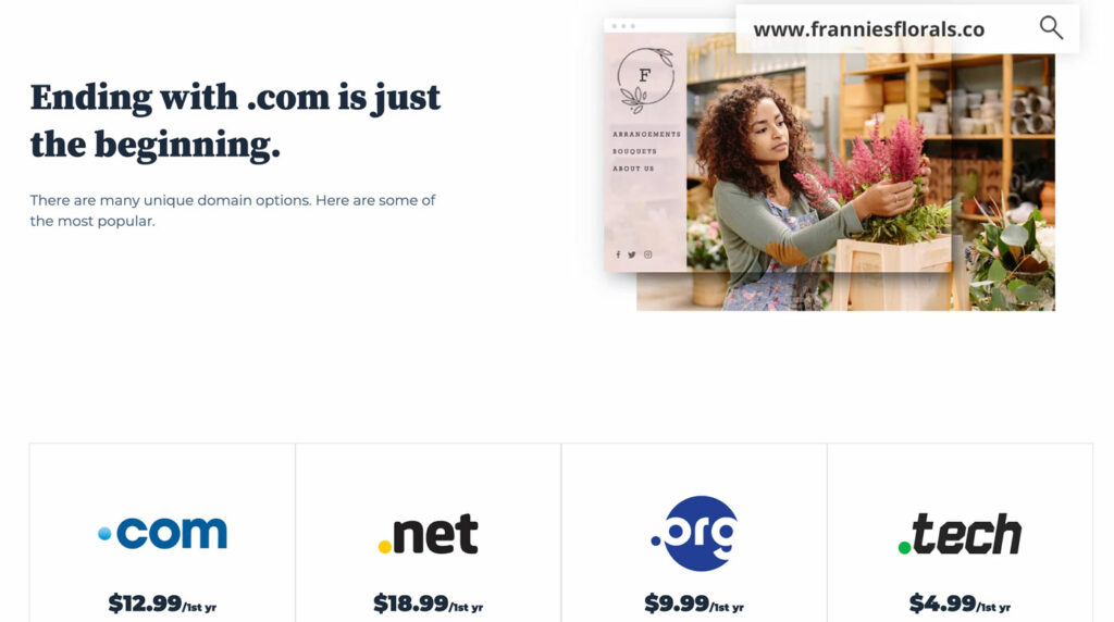 bluehost-domains-3200080