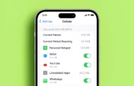 How To Check Data Usage on iPhone