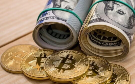 Crypto Vs Fiat: Which Is Best For Security And Privacy